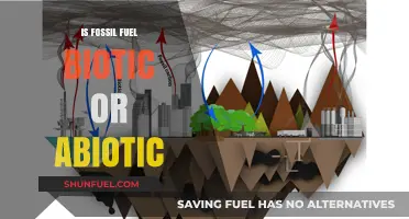 Origin of Fossil Fuels: Biotic or Abiotic?
