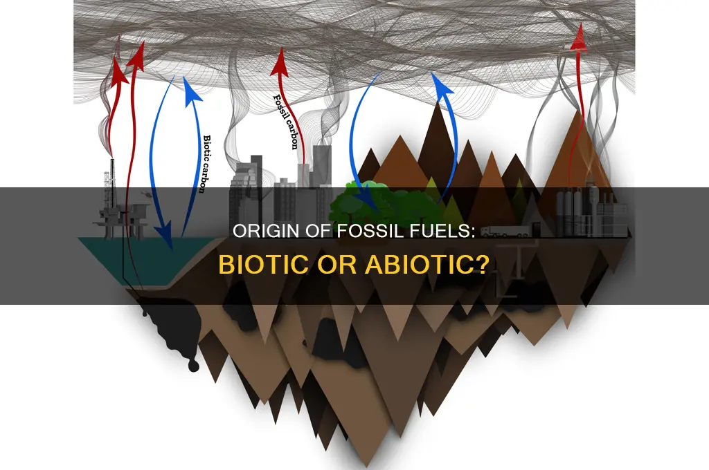 is fossil fuel biotic or abiotic