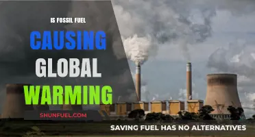 Fossil Fuels: Global Warming's Main Culprit?