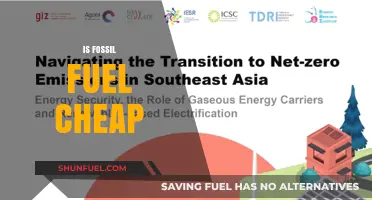 Fossil Fuels: Cheap or Costly?
