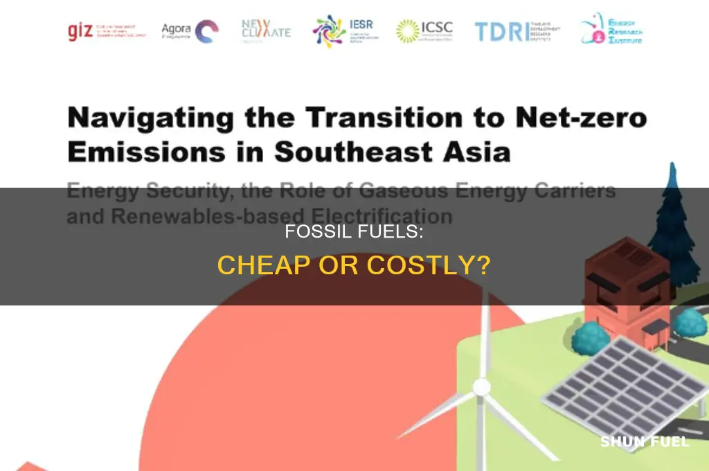 is fossil fuel cheap