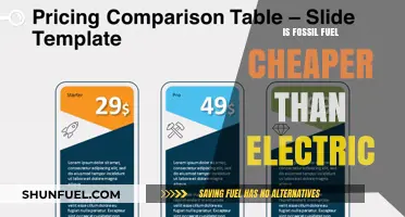 Fossil Fuels vs Electric: The Cost Battle