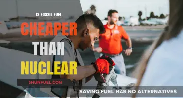 Fossil Fuels vs Nuclear: The Cost War