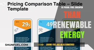 Fossil Fuels: Cheaper Than Renewable Energy?