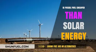 Fossil Fuels vs Solar Energy: The Cost War