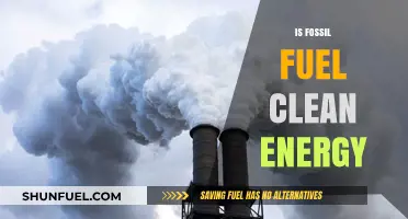 Fossil Fuels: Clean Energy Myth or Reality?