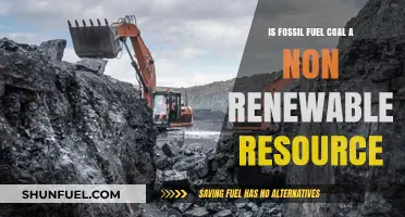 Fossil Fuel: Coal's Non-Renewable Reality