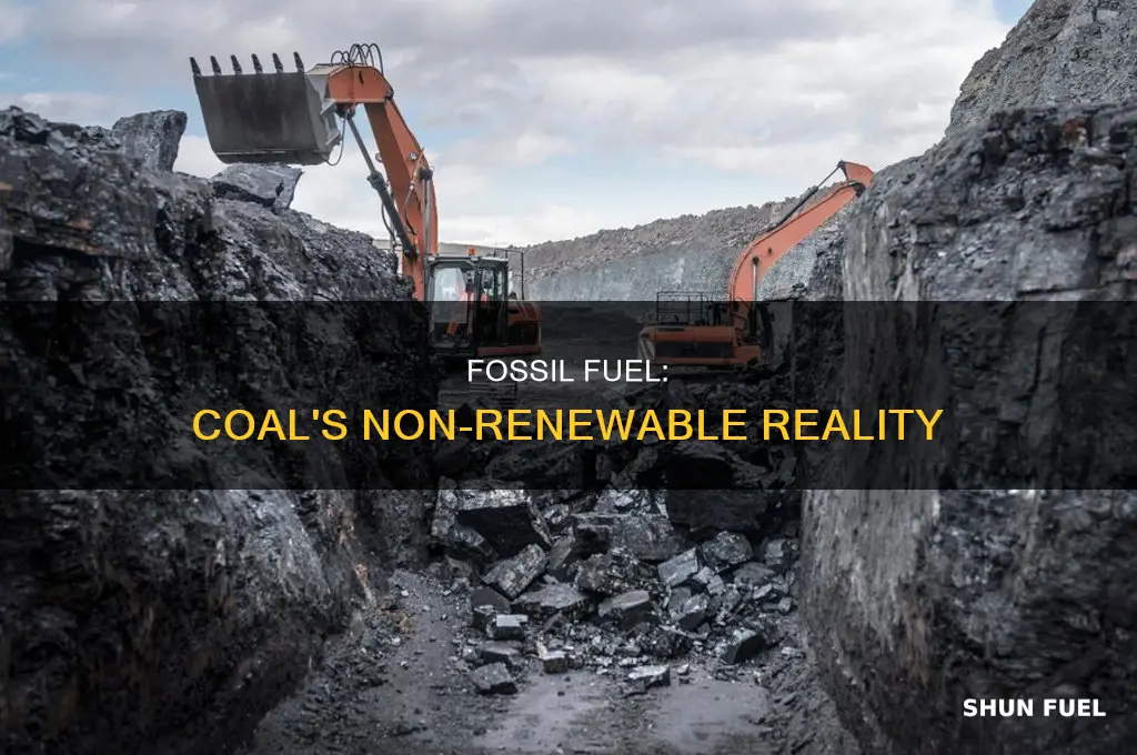 is fossil fuel coal a non renewable resource