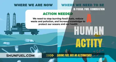 The Impact of Human Activity on Fossil Fuel Combustion