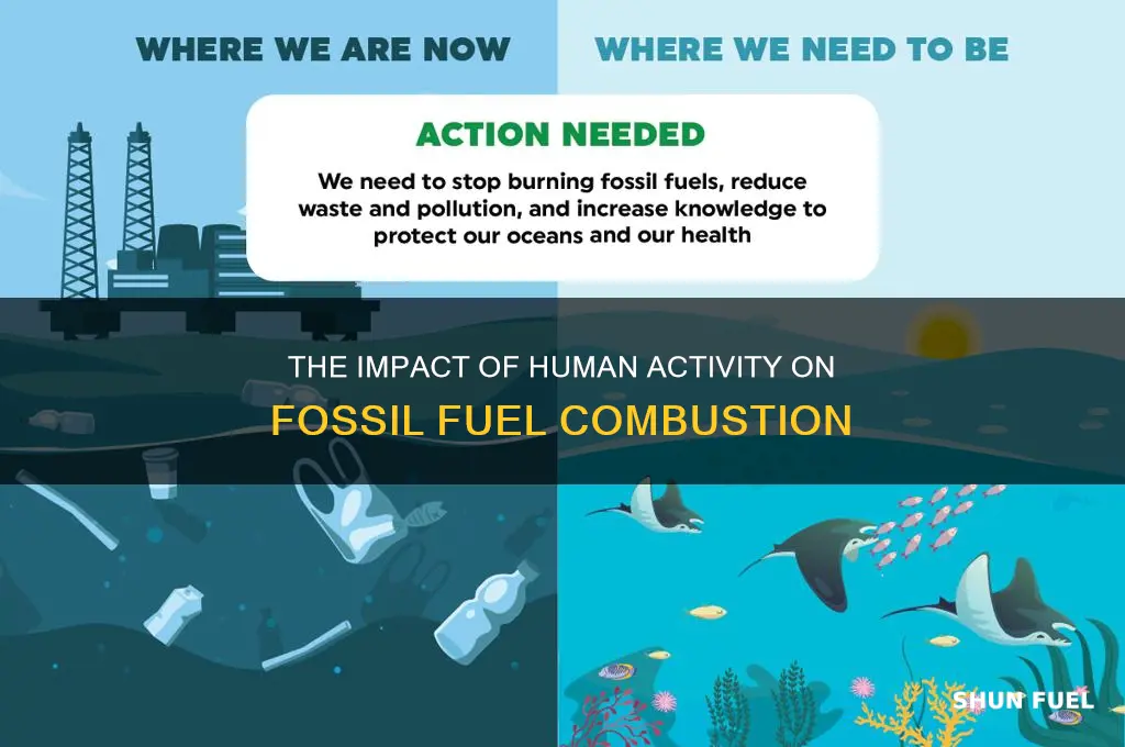 is fossil fuel combustion a human actity