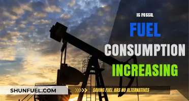The Dark Truth: Fossil Fuel Consumption Trends