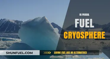 Cryosphere's Future: Fossil Fuel's Impact