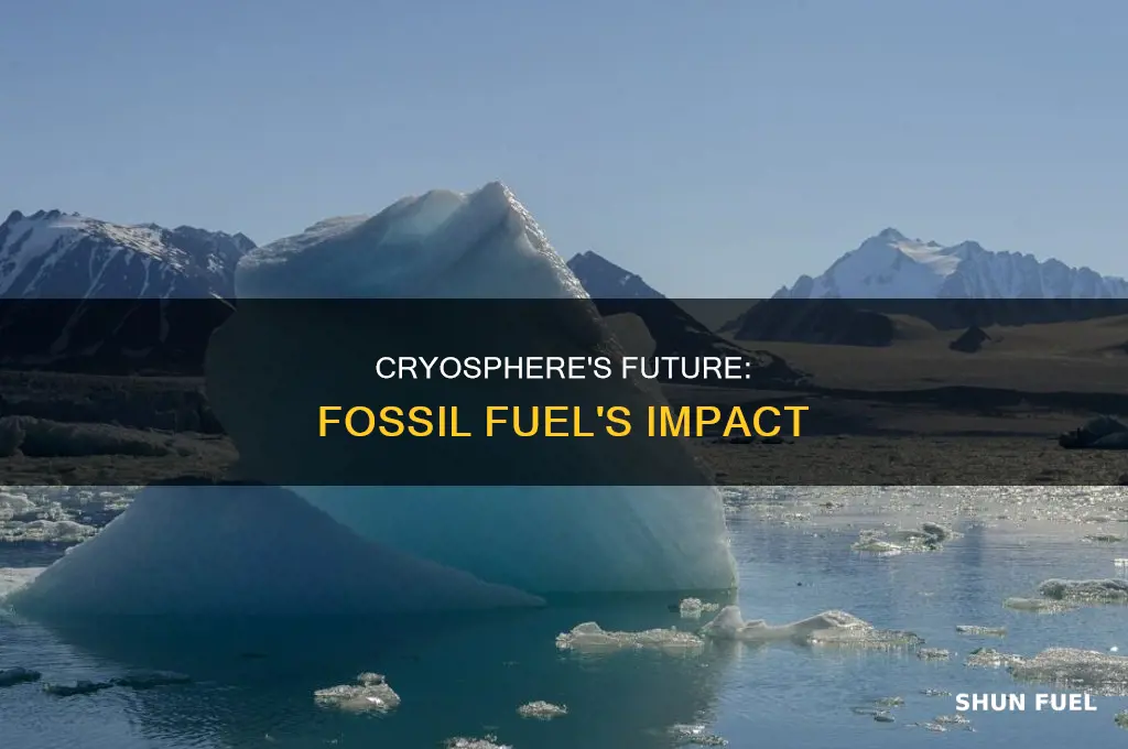 is fossil fuel cryosphere