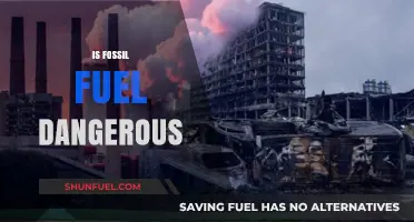 Fossil Fuels: A Dangerous Energy Source?