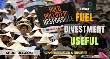 Fossil Fuel Divestment: Effective Strategy or Futile Gesture?