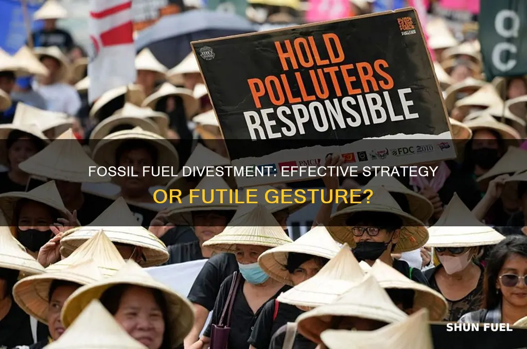 is fossil fuel divestment useful