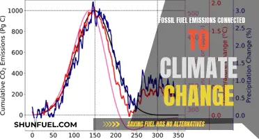 Fossil Fuel Emissions: Climate Change Connection?