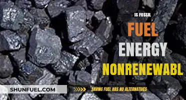 Fossil Fuel Energy: Why It's Non-Renewable