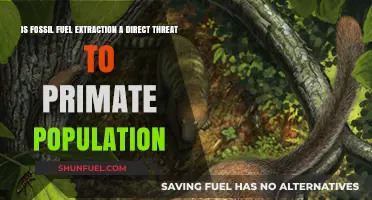 Primates in Peril: Fossil Fuel Extraction's Dark Side