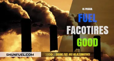 Fossil Fuel Factories: Boon or Bane?