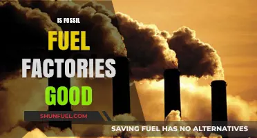 Fossil Fuel Factories: Harmful or Helpful?