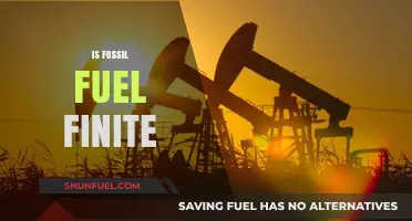 The End of Fossil Fuels: A Finite Resource