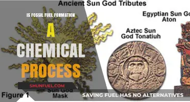 Fossil Fuel Formation: Chemistry of Ancient Sunlight
