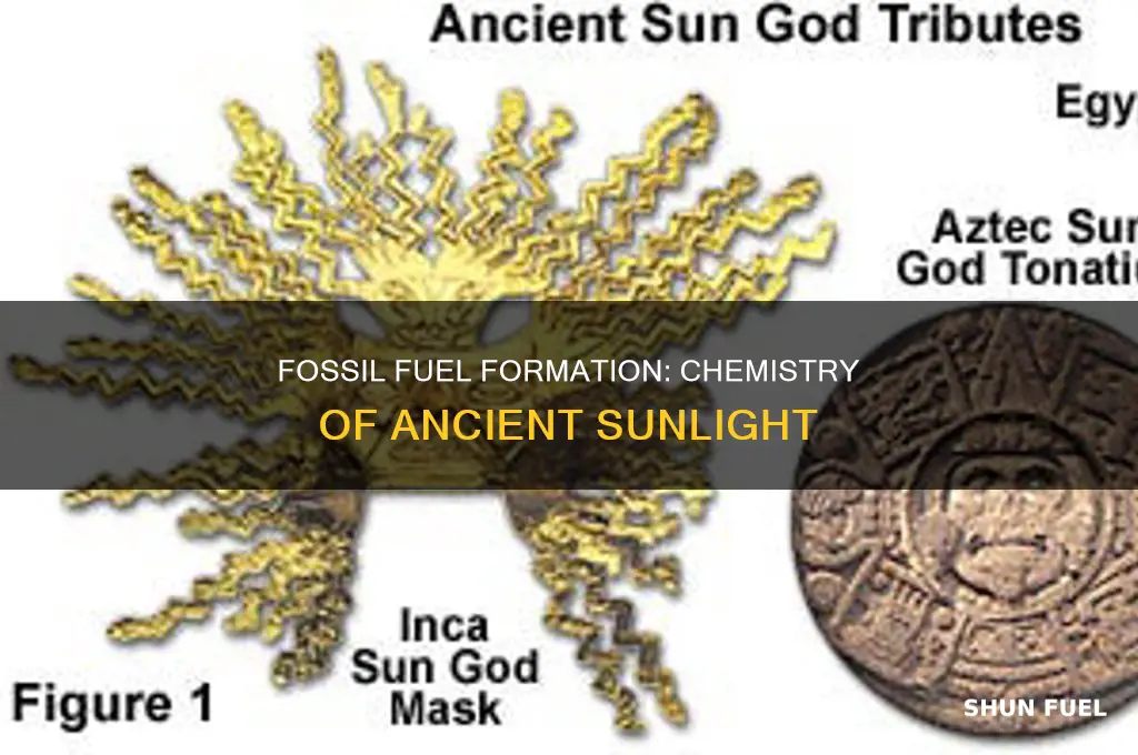 is fossil fuel formation a chemical process