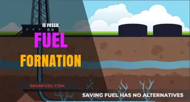 Fossil Fuel Formation: A Complex Process