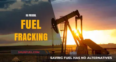 Fracking: Fossil Fuel's Future or Environmental Disaster?