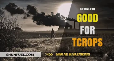 Fossil Fuels: Friend or Foe of Crops?