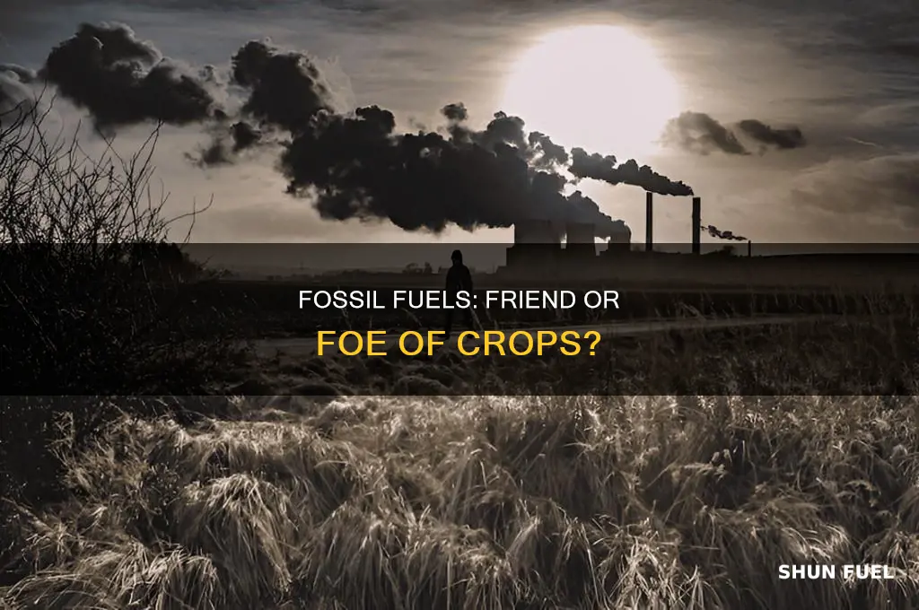 is fossil fuel good for tcrops