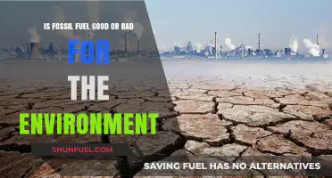 Fossil Fuels: Environment Friend or Foe?