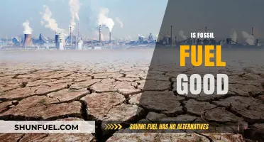 Fossil Fuels: Friend or Foe?