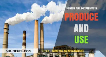 Fossil Fuel Costs: Are Production and Usage Truly Inexpensive?