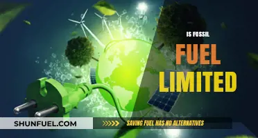 The Fossil Fuel Era: Limited Lifespan?