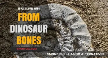 Fossil Fuels: Dinosaur Bones or Ancient Organisms?