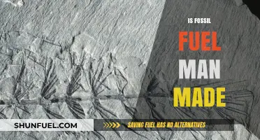 Fossil Fuels: Man-Made Energy or Natural Resource?