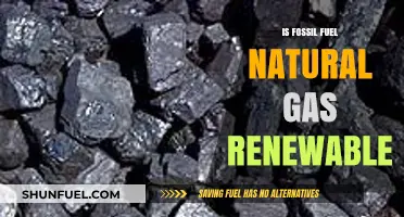 The Truth About Fossil Fuels: Natural Gas Edition