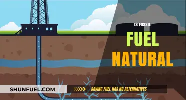 Fossil Fuels: Natural, but Not Forever