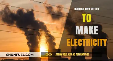 Fossil Fuels: Necessary for Electricity Generation?
