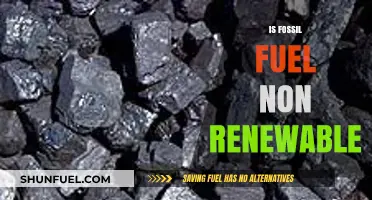 Fossil Fuels: Our Non-Renewable Future?
