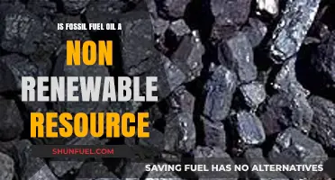 Fossil Fuels: Our Non-Renewable Future?