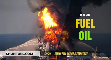 The Dark Side of Fossil Fuel Oil