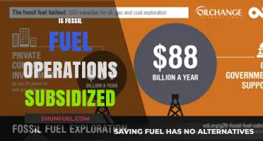 Fossil Fuel Operations: Subsidized and Costly