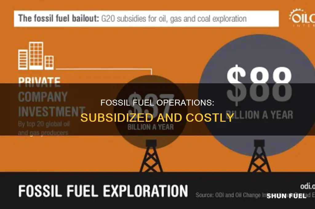 is fossil fuel operations subsidized