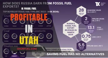 Fossil Fuel in Utah: A Profitable Venture?