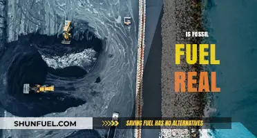 Fossil Fuels: Fact or Fiction?