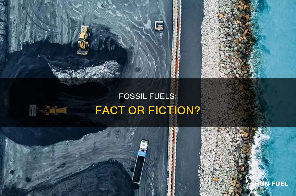 is fossil fuel real
