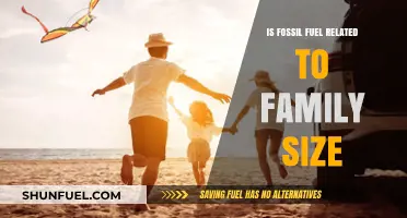 Fossil Fuels: Family Size's Impact on Climate Change